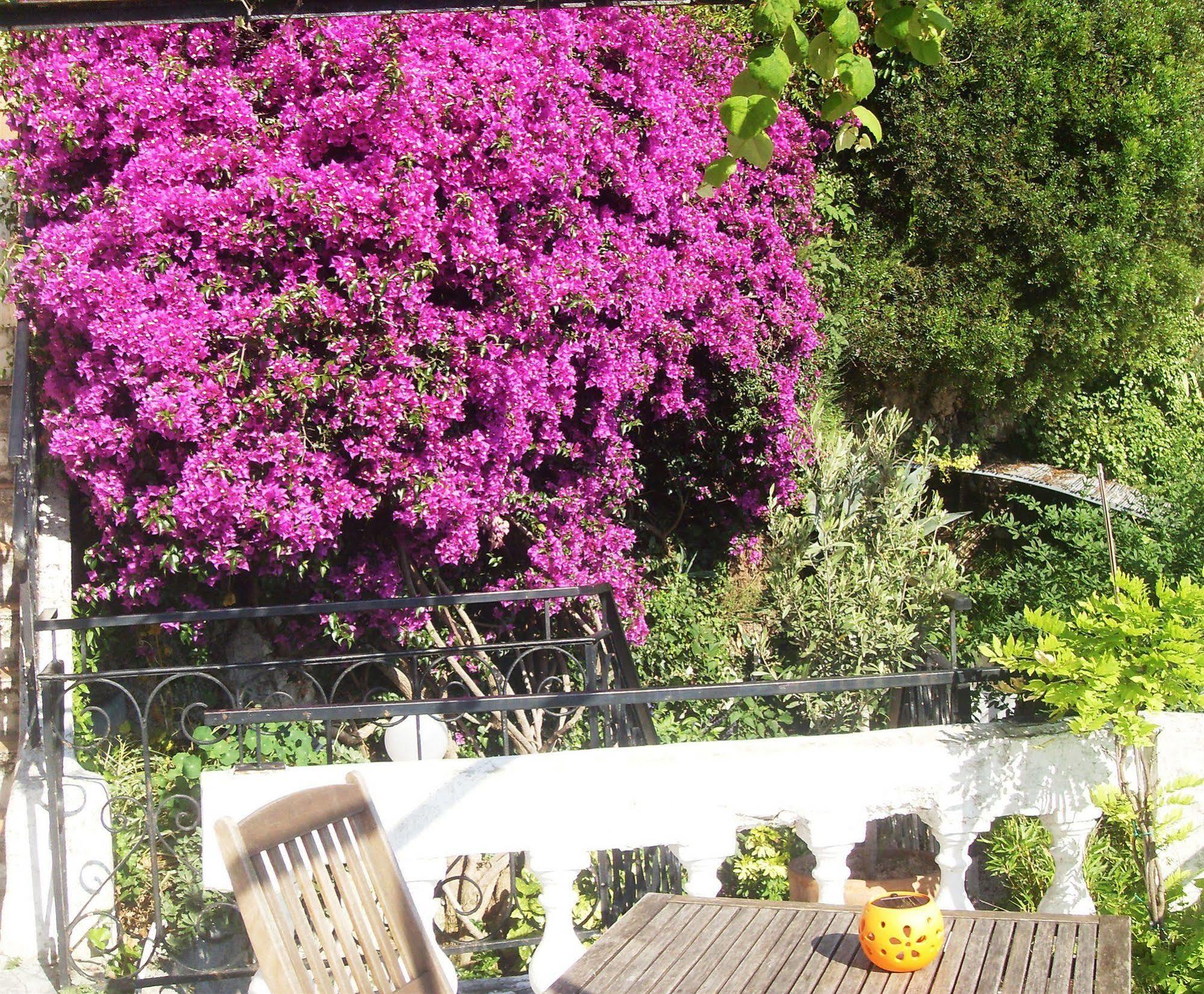 Hotel Le Panoramic Boutique 2*